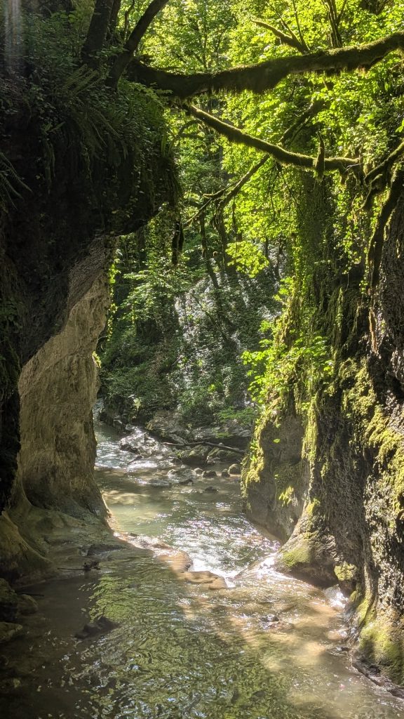 Tréfond-Pernaz, photo 7