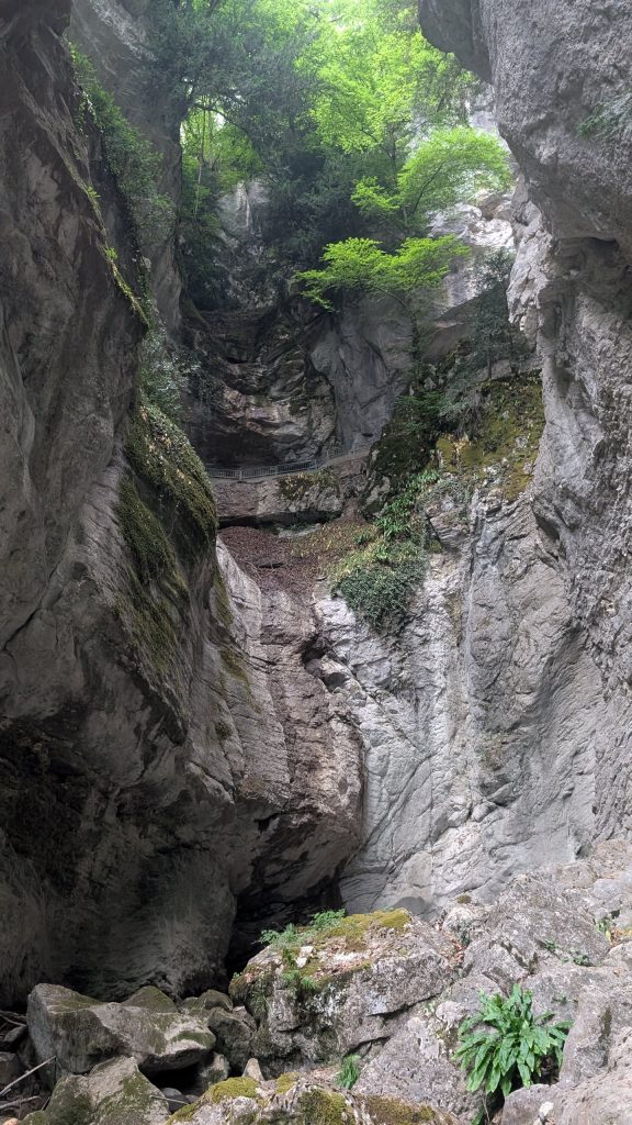 Canyon d' Angon, photo 12
