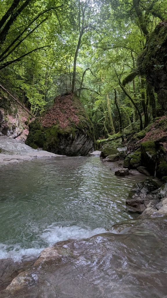 Canyon d' Angon, photo 23