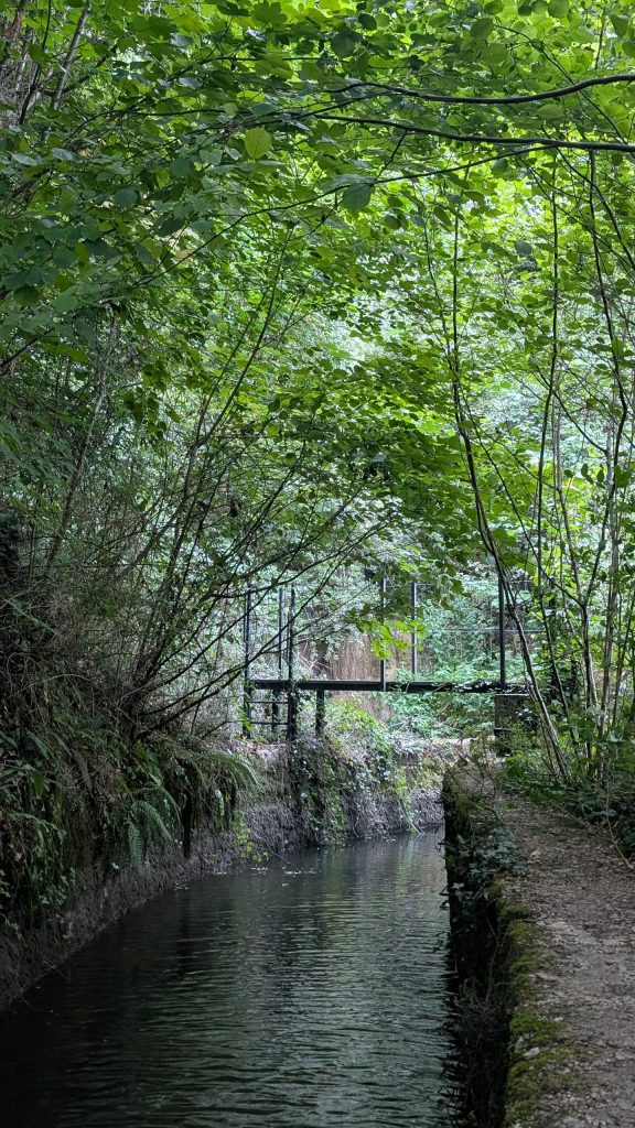 Gorges de Chailles Saint-Béron, photo 26