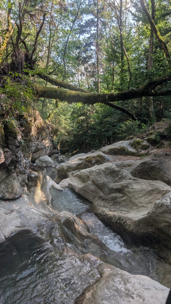 Canyon des Rots de Balme, photo 8