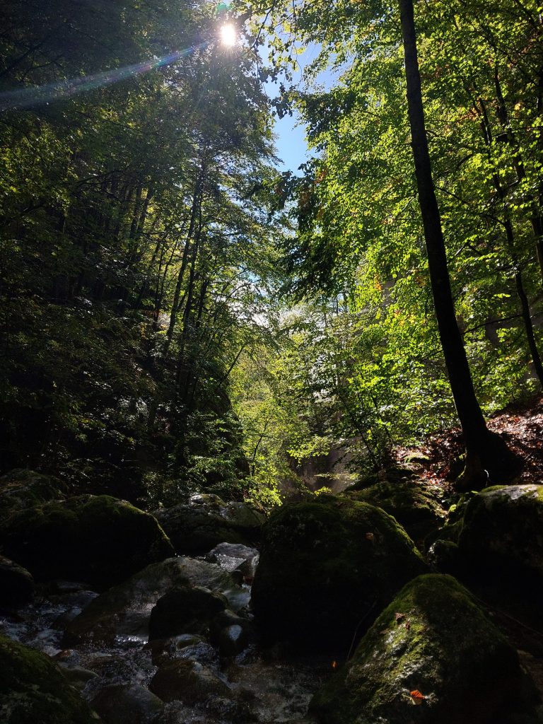 Canyon de la Leysse