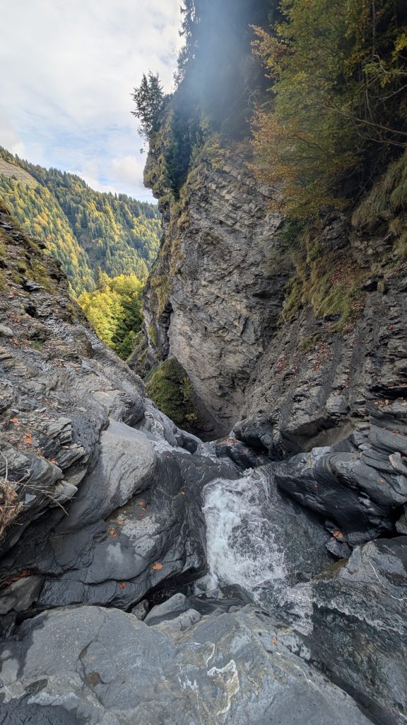Ruisseau des Assouts